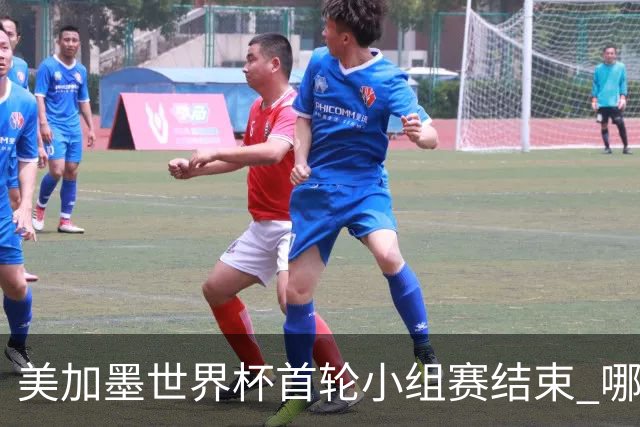 美加墨世界杯首轮小组赛结束 哪支球队最令人失望？